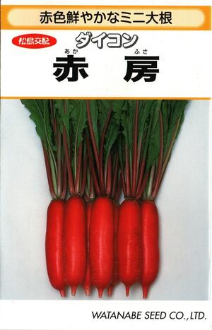 楽天市場 野菜種子 ミニダイコンたね 渡辺採種場 赤房 4ml袋詰 送料無料 鈴乃園 楽天市場店