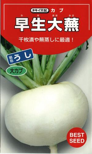 楽天市場 野菜種子 カブたね タキイ種苗 早生大蕪 うし 4ml詰 送料無料 鈴乃園 楽天市場店