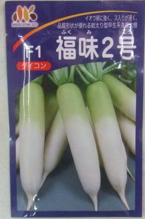 草片内果皮 青首総太り清白「福味2号」300粒／500粒／1,000粒詰／8,000粒（ヴィルモランみかど）【貨物輸送込み】 ふくみ2ごう フクミニゴウ 青首総太り大根役者 だいこん 好ましい多収