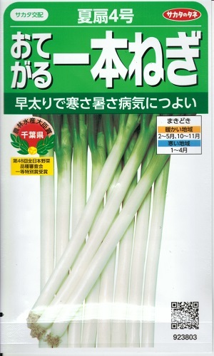 蔬菜内果皮 おてがる一本ねぎ「夏扇4号」3ml（約350粒）／20ml／1デシリットル／ペレット200粒／ペレット500粒／ペレット6,000粒（サカタのタネ）【貨物輸送込み】 なつおうぎ4ごう 一本葱 一本ネギ 長葱 長ネギ 長ねぎ