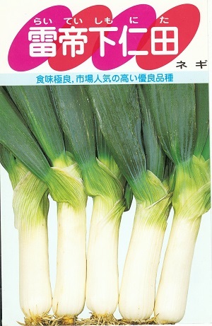 蔬菜内果皮 ネギ「雷帝下仁田葱」6ml（約900粒）／20ml／50ml／2デシリットル（サカタのタネ）【貨物輸送込み】 らいていしもにたねぎ 下仁田ネギ 太葱 太ねぎ 長葱 長ねぎ 春血縁グループ 秋血縁グループ
