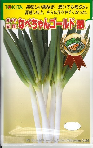 ネギちゃん compass1586557821.jpg