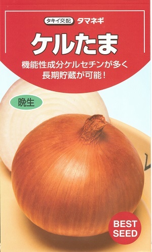 タマネギ 楽天市場】野菜種子 赤タマネギ「赤たまサラダ」 5ml（約480粒