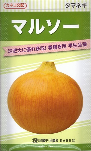 ジェットスター タマネギ 100g ジェットスター タマネギ 100g - メルカリ