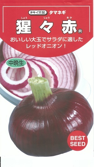 ネオアース2000本 楽天市場】野菜種子 タマネギ「ネオアース」 2Lペレット200粒