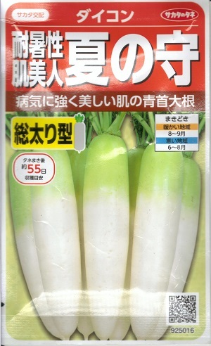 楽天市場】野菜種子 ダイコン「夏の砦」3ml（約55粒）／500粒／1,000粒