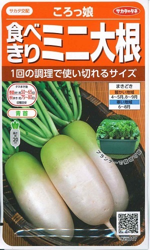 野菜種子 食べきりミニダイコン「ころっ娘」5ml(約150粒)/20ml/2dl(サカタのタネ)【送料込み】 大根 だいこん コロッコ ころっこ 家庭菜園|鈴乃園 店