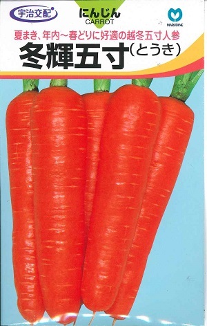 楽天市場】馬込三寸人参 まごめさんずんにんじん Magome Sanzun Carrot