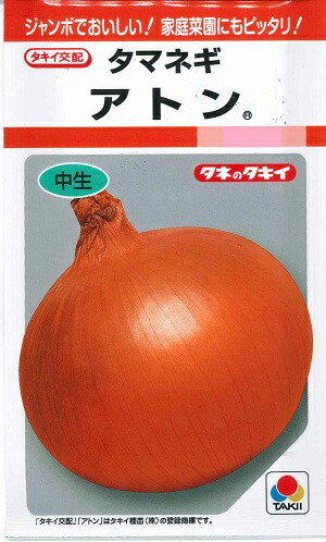 ジェットスター タマネギ 100g 楽天市場】ジェットスター種子 100g : 家庭de菜園うぇぶたねやさん