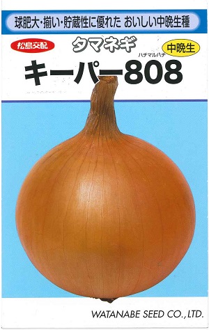 蔬菜内果皮 玉ねぎ「GK808」2.8ml／10ml／20ml／1デシリットル／ペレット160粒／ペレット500粒／ペレット1,000粒／ペレット5,000粒（渡辺採種場）【貨物輸送込み】 玉ねぎ 玉葱 玉ネギ たまねぎ