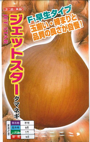 蔬菜内果皮 玉ねぎ「ジェット機はやりっ児」 1.5g／10g／100g（ナント種苗）【貨物輸送込み】じぇっとすたー 玉ねぎ 玉葱 玉ネギ たまねぎ 早生 肉付きのよい性