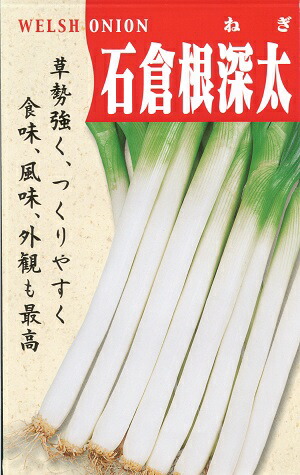 negiねぎ 根深ネギ・ホワイトスピア| 種・苗・ガーデニング用品の【タキイネット