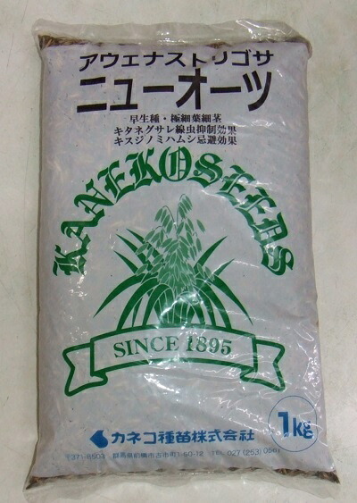緑肥・草藁内果皮 アウェナストリゴサ「ニューオーツ」 1kg／10kg（カネコ種苗）【貨物輸送込み】 えん麦自然状態種 燕麦 エンバク えんばく 早生種 キタネグサレ線虫 キスジノミハムシ
