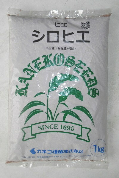 草藁内果皮 ヒエ「シロヒエ」 1kg／25kg（カネコ種苗）【貨物輸送込み】青刈りヒエ 緑肥 早生 耐湿性