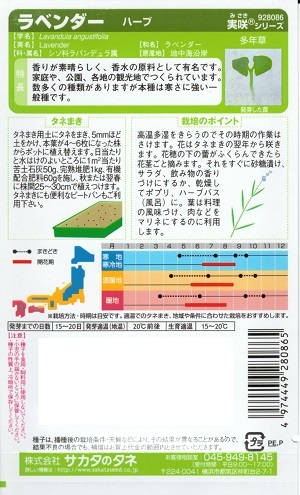 ハーブ種子 サカタのタネ ラベンダー ハーブ種子 サカタのタネ ラベンダー