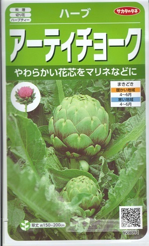 ハーブ種子 サカタのタネ アーティチョーク 1 3ml袋詰 約１０本分 新品