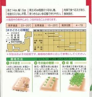 楽天市場 野菜種子 つるなしインゲンたね タキイ種苗 つるなしモロッコ ３０ｍｌ袋詰 送料無料 鈴乃園 楽天市場店