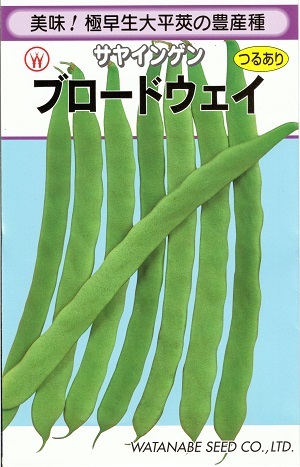 楽天市場 野菜種子 つるありインゲンたね 渡辺採種場 ブロードウエイ １ｄｌ袋詰 約１５０粒 送料無料 鈴乃園 楽天市場店