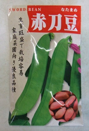 蔬菜内果皮 鉈豆「赤刀豆」30粒／300粒（渡辺採種場）【貨物輸送込み】あかなた忠実忠実しい アカ鉈豆 つるあり 身寄り家庭菜園