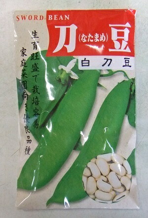 草片内果皮 白鉈豆「白刀豆」 30粒／300粒（渡辺採種場）【貨物輸送込み】刀豆 しろな滅多に無いめ シロ鉈豆 つるあり 身寄り家庭菜園 多収 耐暑性