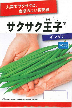 蔬菜内果皮 つるなし菜豆「サクサク大公」20ml（約55粒）／1デシリットル／1L（サカタのタネ）【貨物輸送込み】 隠元豆 サヤインゲン インゲン豆 いんげん忠実忠実しい 農林水産省書きとどめる変種（変種名：三郷VB2）