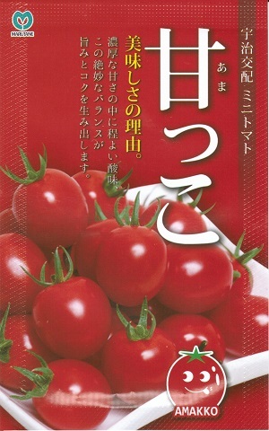 【人気品種】野菜種子 ミニトマト「甘っこ」15粒/50粒/200粒/500粒/1,000粒(丸種)【送料込み】 あまっこ アマッコ 食味抜群 中早生 家庭菜園 耐病性 耐虫性|鈴乃園 店