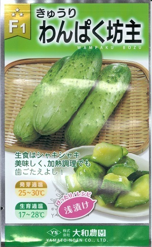 草片内果皮 黄瓜「わんぱくお坊っちゃん」10粒／100粒／350粒（大和栽培所）【貨物輸送込み】 わんぱくぼうず 黄瓜 きゅうり