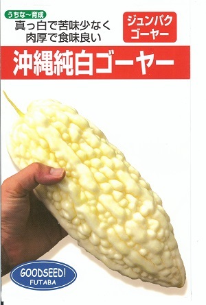 ニガウリ、ゴーヤの種 島心（しまごころ） 1L ( 野菜の種 ) ゴーヤ 種 島心（しまごころ） 1L | 農業屋.com