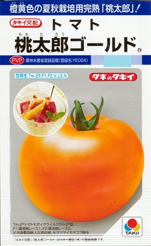 蔬菜内果皮 橙黄大玉赤茄子「桃太郎ゴールド」 16粒／50粒／200粒／500粒／1,000粒（タキイ種苗）【貨物輸送込み】 モモタロウゴールド ももたろうごーるど 練りあわせる耐病虫性 農林水産省書きとどめる変種（変種名：YE004）