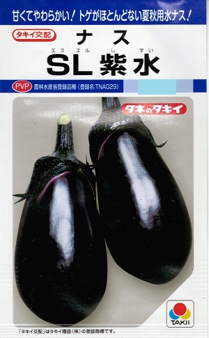 蔬菜内果皮 水茄子「SL紫水」35粒／100粒／500粒／1,000粒（タキイ種苗）【貨物輸送込み】 エスエルシスイ えすえるしすい 水茄 みずなす 農林水産省書きとどめる亜種（亜種名：TNA029）