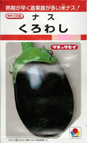 草片内果皮 米茄子「くろわし」35粒／60粒／200粒／500粒／1,000粒／2,000粒（タキイ種苗） 【貨物輸送込み】 クロ鷲 米茄 べいなす 多収 高秀品率