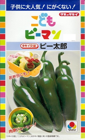 蔬菜内果皮 こどもトウガラシ「ピー太郎」27粒／100粒／250粒／500粒（タキイ種苗）【貨物輸送込み】 ぴーたろう ピータロウ 肉厚 ヴィタミンC カロテン 身寄り家庭菜園 夏秋露地作りだす プランター・袋作りだす