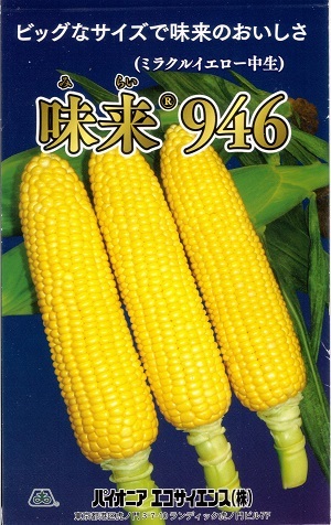 とうもろこしページ 新種12月以降入荷後発送<br>トウモロコシ種 【 おひさまコーン88