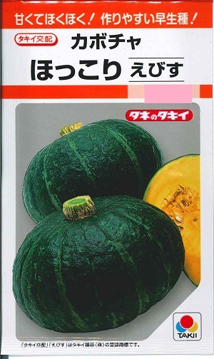 楽天市場】野菜種子 かぼちゃたね (タキイ種苗) えびす １９粒袋詰