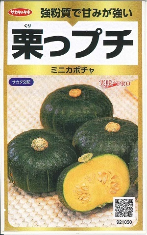 蔬菜内果皮 ミニ西洋カボチャ「栗っプチ」8粒／20粒／50粒／100粒／500粒（サカタのタネ）【貨物輸送込み】 栗っぷち くりっぷち クリップチ 西洋カボチャ みにかぼちゃ 取っておく性 多収 栗坊
