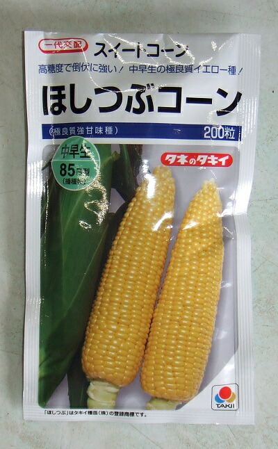蔬菜内果皮 スイートコーン「ほしつぶ唐きび」 40粒／200粒／2,000粒（タキイ種苗）【貨物輸送込み】 ほしつぶこーん 唐きび 唐きび 中早生 高糖度 極思わしい黄色種