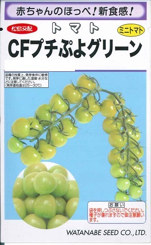 野菜種子 超薄皮ミニトマト「CFプチぷよグリーン」　7粒／100粒／1,000粒（渡辺採種場）【送料込み】 しーえふぷちぷよぐりーん シーエフプチプヨグリーン 高糖度 葉かび病抵抗性｜鈴乃園　店