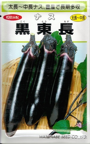 野菜種子 ナス「黒東長」0.6ml／2ml／5ml／10ml／20ml（約2,000粒）（渡辺採種場）【送料込み】 こくとうながなす コクトウナガナス 茄子 太長 中長 漬物 焼きナス 長期多収