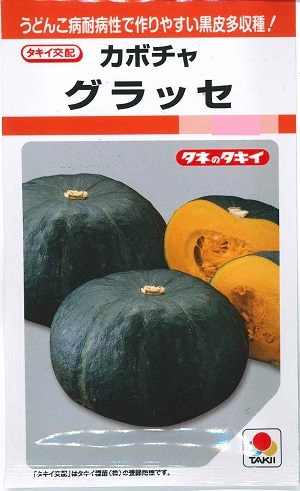 野菜種子 黒皮カボチャ「グラッセ」9粒/30粒/50粒/100粒/500粒(タキイ種苗)【送料込み】 ぐらっせ 南瓜 くろかわかぼちゃ 多収 耐病性 果実肥大力 家庭菜園|鈴乃園 店