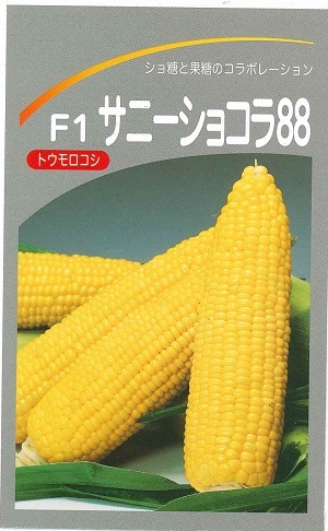 楽天市場】スイートコーン サニーショコラ88 種 200粒 小袋 営利