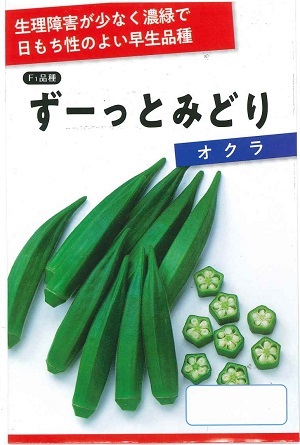 蔬菜内果皮 持ちこたえるいけ図々しいガンボ「ずーっとみどり」4ml（約40粒）／300粒／500粒／1,000粒／10,000粒（サカタのタネ）【貨物輸送込み】 陸蓮根 秋葵 おくら アメリカネリ ずっとみどり
