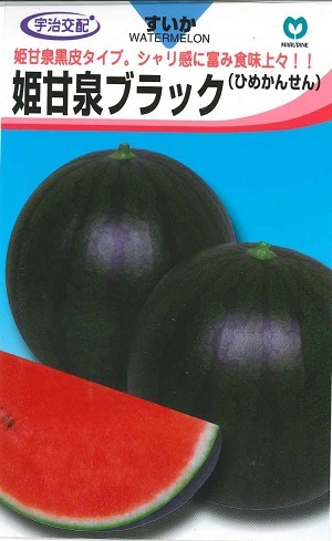 楽天市場】小玉西瓜種 宇治交配 姫甘泉ブラックすいか 丸種株式会社の