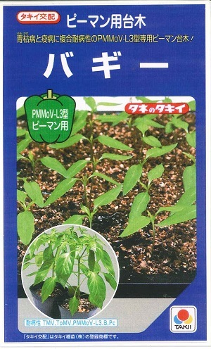 蔬菜内果皮 トウガラシ用台木「乳母車」100粒／500粒／1,000粒（タキイ種苗）【貨物輸送込み】 ダイギ だいぎ APE058