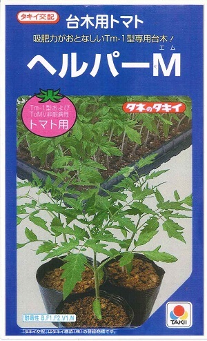 蔬菜内果皮 台木用赤なす「手伝い手M」100粒／500粒／1,000粒（タキイ種苗）【貨物輸送込み】 ヘルパーエム とまと ダイギ だいぎ 練り合わせる耐病虫性 Tm-1型 非同期転送モード051