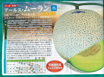 楽天市場】野菜種子 『大和農園』 メロン種子 エメラルドメロン