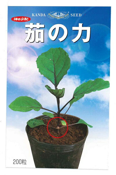 楽天市場】野菜種子 台木用ナス「耐病VF」100粒 ／ 500粒詰 ／ 1,000粒