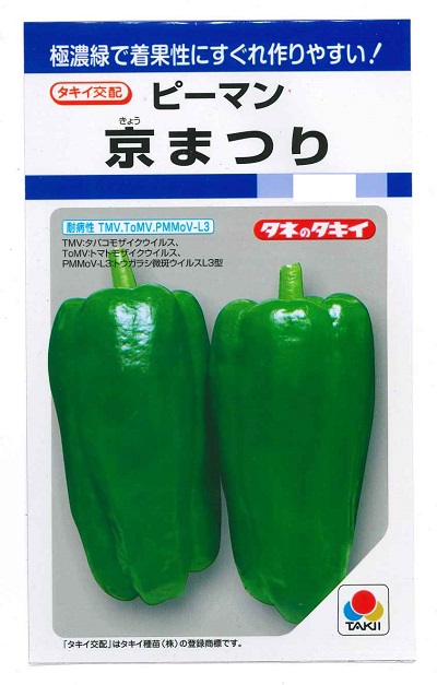 蔬菜内果皮 極翠緑トウガラシ「京まつり」22粒／100粒／500粒／1,000粒（タキイ種苗）【貨物輸送込み】 本日まつり キョウマツリ 着果性 耐病性 多収 高秀品率 身寄り家庭菜園