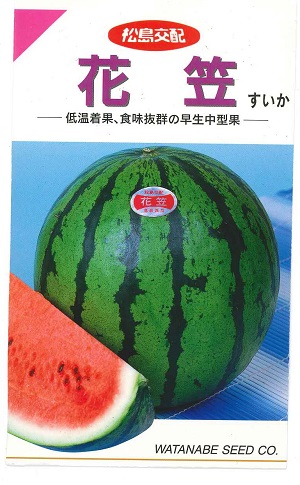 楽天市場】野菜種子 スイカ「3Xゴールデンジャック」8粒／50粒／100粒