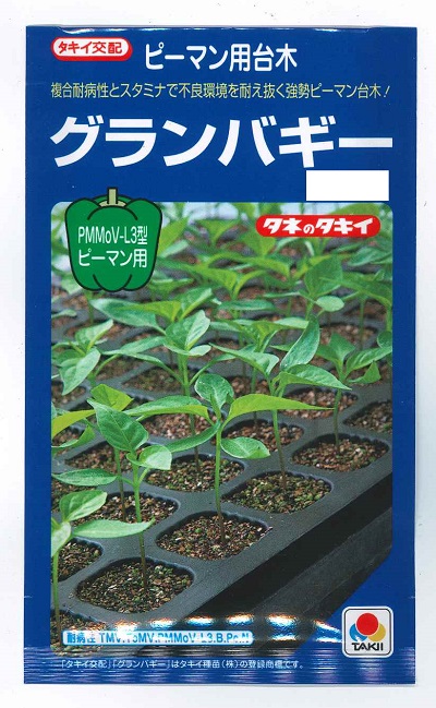 落ちてる茄子 ila00631.jpg