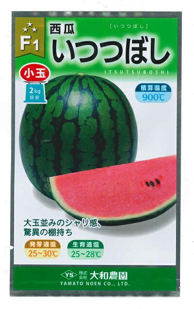 楽天市場】野菜種子 スイカ「3Xゴールデンジャック」8粒／50粒／100粒